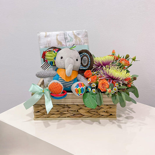 Snuggly Surprise Newborn Gift