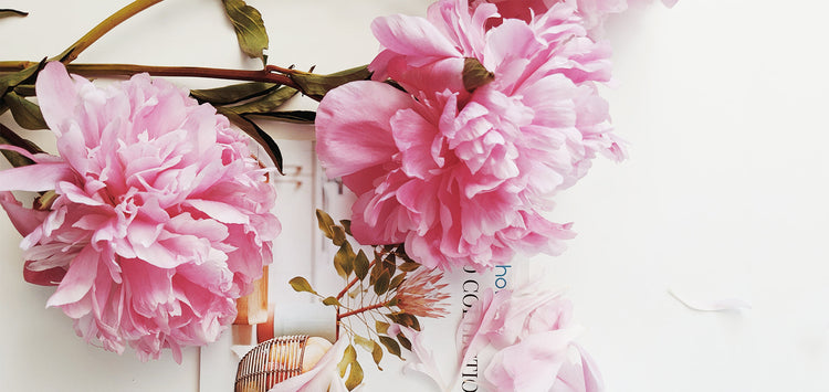 Spring Seasonal Flower Collection